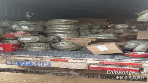 福來翔鴿具寵物用品生產(chǎn)廠 匠心獨(dú)具，專注寵物食品新篇章