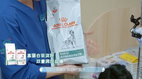 皇家寵物食品與《寵物醫(yī)生2》攜手 守護(hù)毛孩健康，以專業(yè)與關(guān)愛治愈回歸